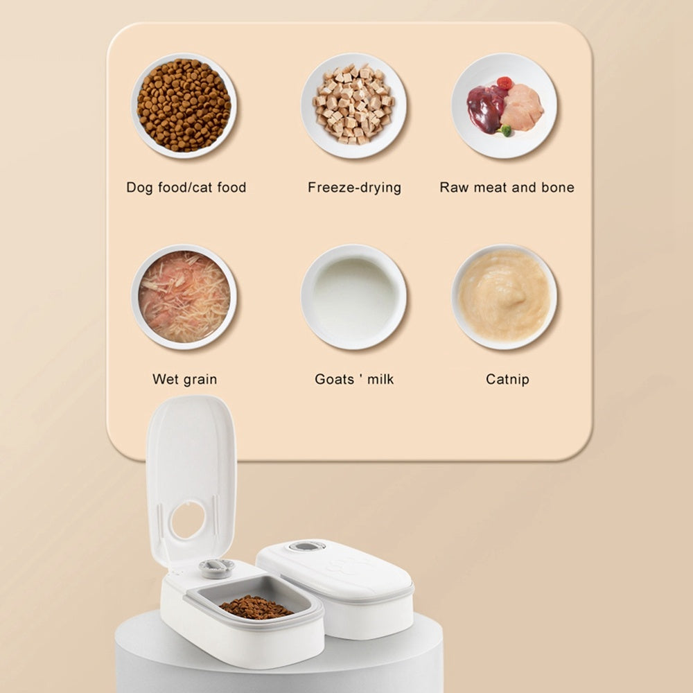 Automatic Pet Feeder - Tail Lodge