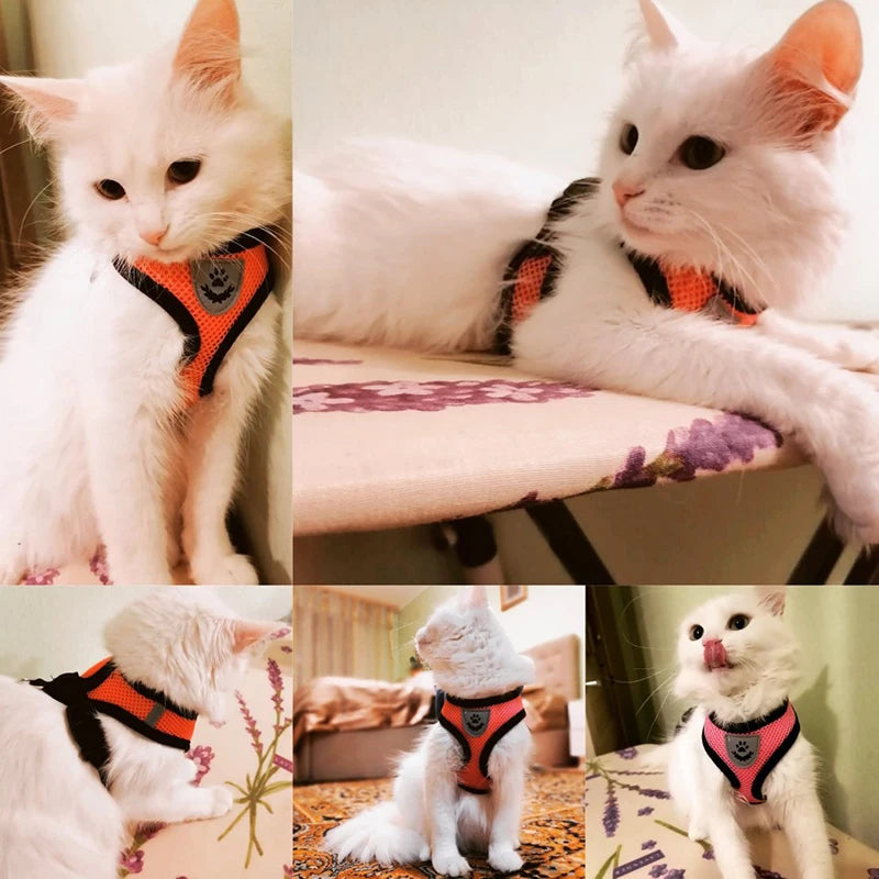 Pet Harness Vest - Tail Lodge