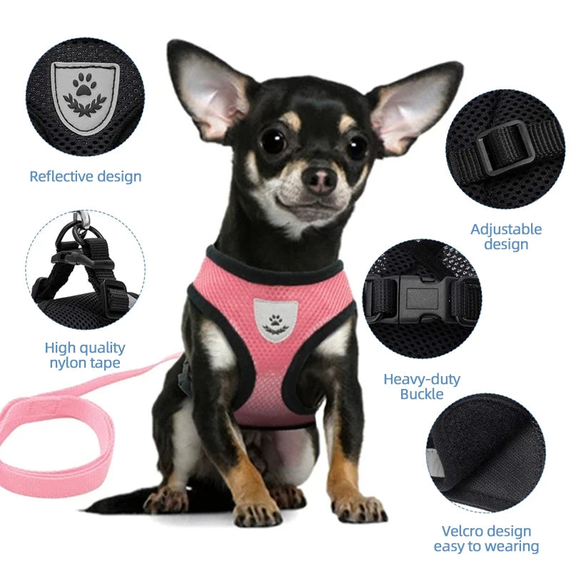 Pet Harness Vest - Tail Lodge