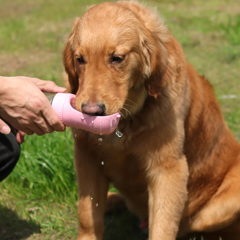 Portable Dog Water Bottle - Tail Lodge