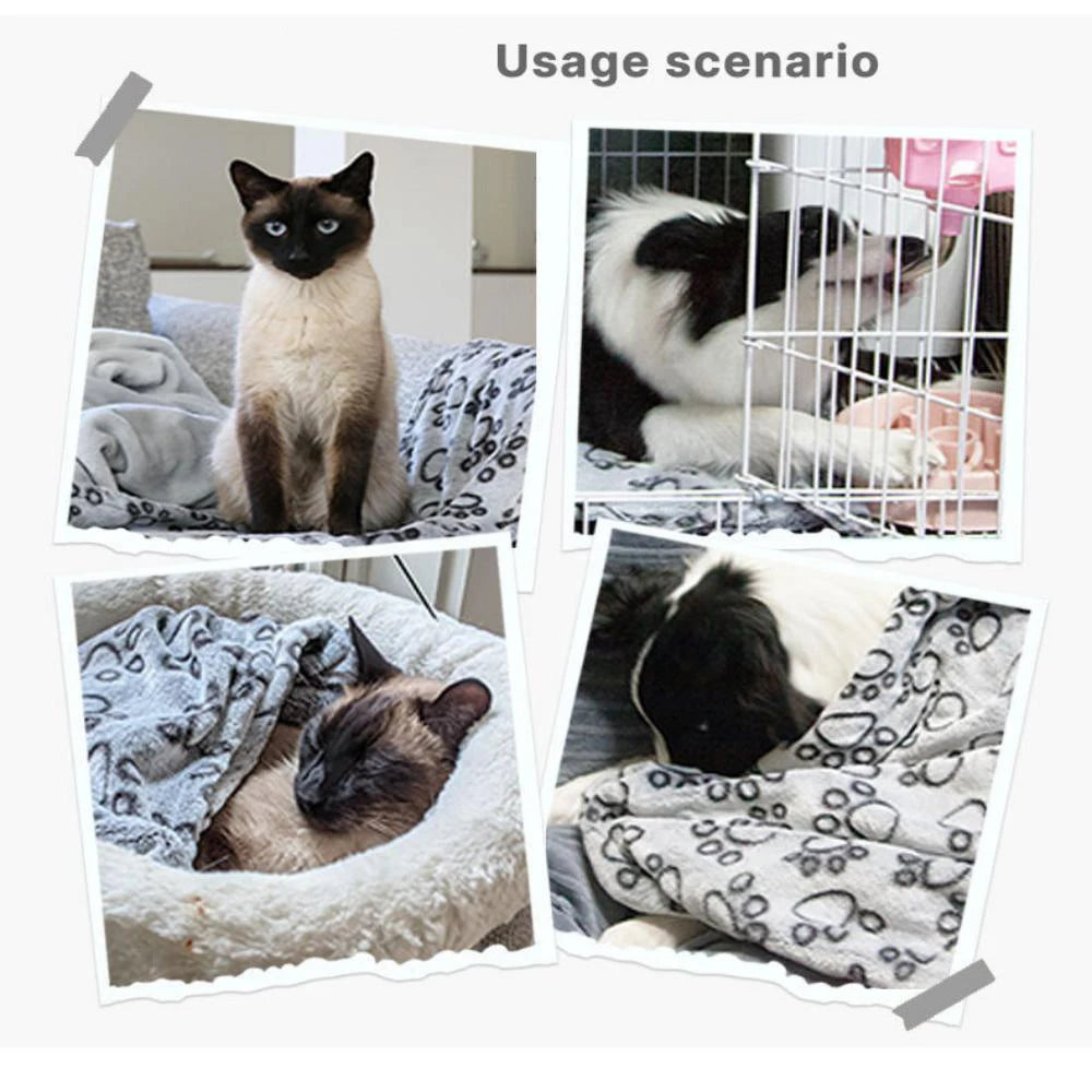 Soft High Quality Pet Blanket - Tail Lodge